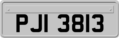 PJI3813