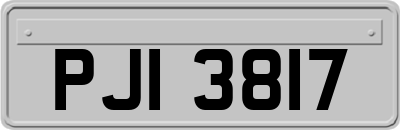 PJI3817