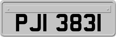 PJI3831