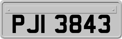 PJI3843