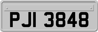 PJI3848