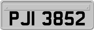 PJI3852