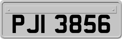 PJI3856