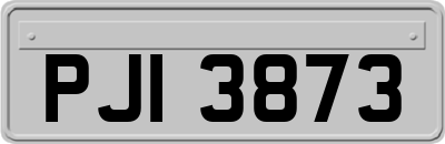 PJI3873