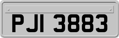 PJI3883