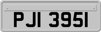 PJI3951