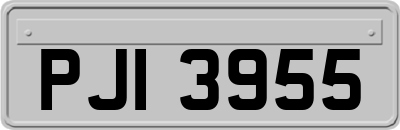 PJI3955