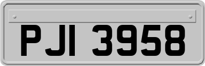 PJI3958