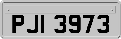 PJI3973