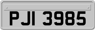 PJI3985