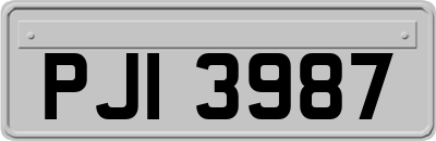 PJI3987