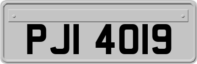 PJI4019
