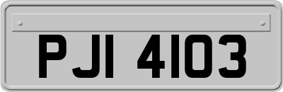 PJI4103
