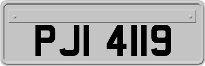 PJI4119
