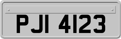PJI4123