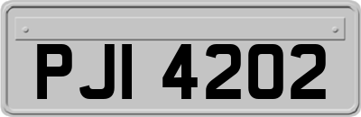 PJI4202