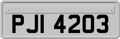 PJI4203