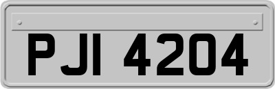 PJI4204