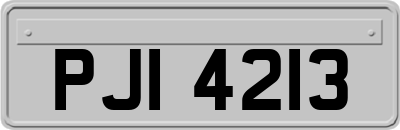 PJI4213