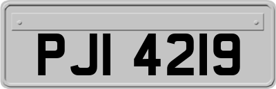 PJI4219