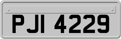 PJI4229