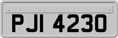 PJI4230