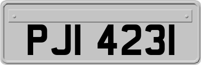 PJI4231