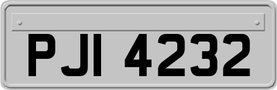 PJI4232