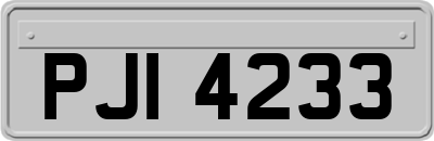 PJI4233