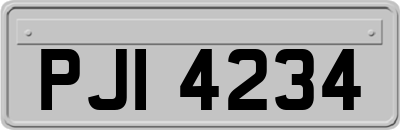 PJI4234