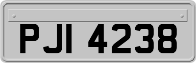 PJI4238