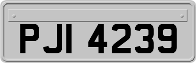 PJI4239