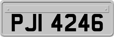 PJI4246