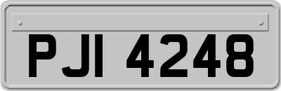 PJI4248