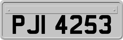 PJI4253