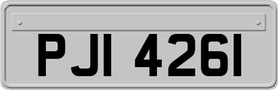 PJI4261
