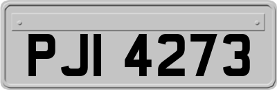 PJI4273