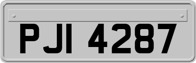 PJI4287