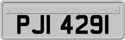 PJI4291