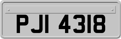 PJI4318