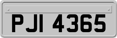 PJI4365