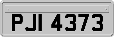 PJI4373