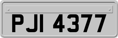 PJI4377