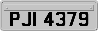 PJI4379