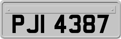 PJI4387