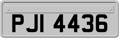 PJI4436