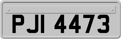 PJI4473