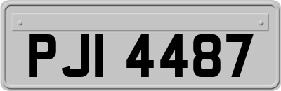 PJI4487