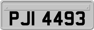 PJI4493