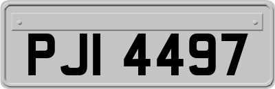 PJI4497